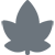 Aktuelles